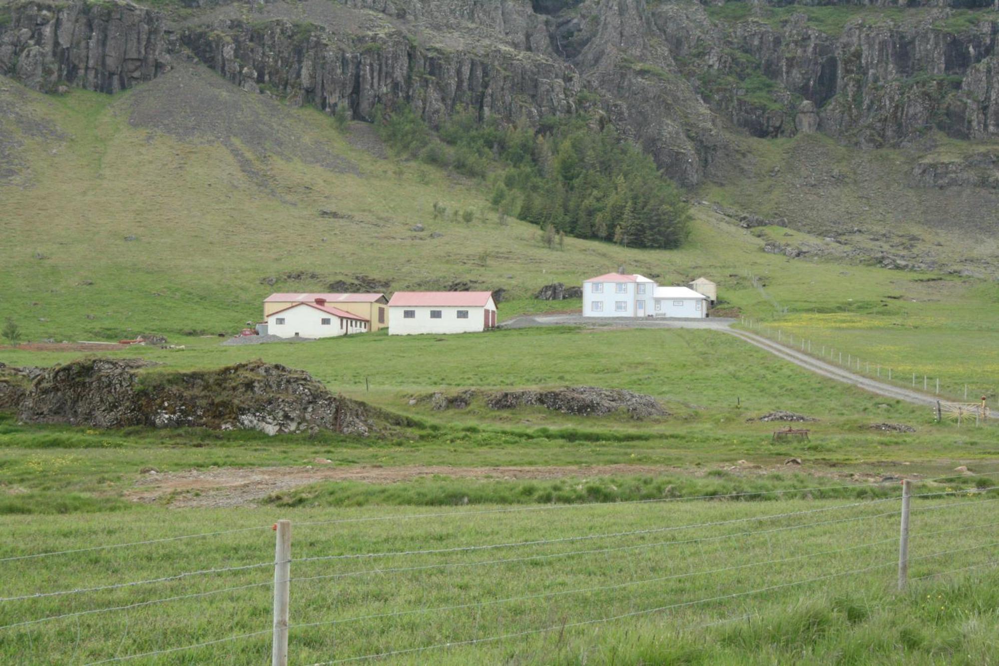 Guesthouse Stekkatun Skálafell Exteriör bild