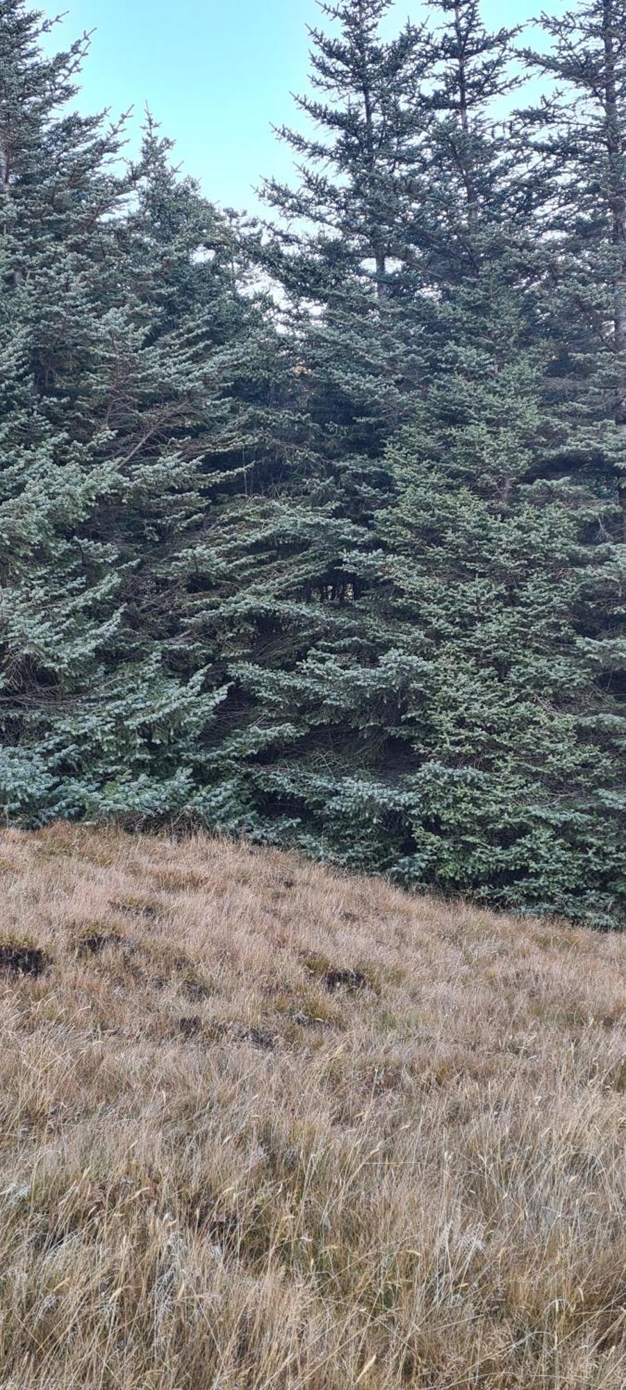 Guesthouse Stekkatun Skálafell Exteriör bild